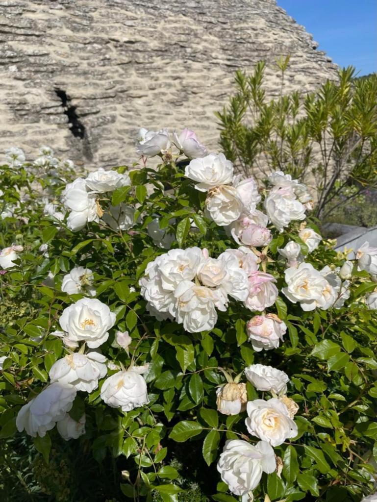 고르드 La Borie En Provence B&B 외부 사진