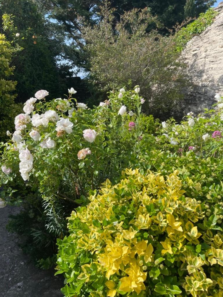 고르드 La Borie En Provence B&B 외부 사진