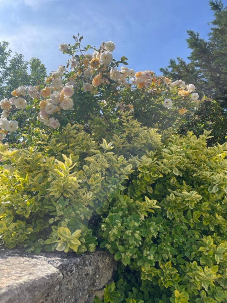 고르드 La Borie En Provence B&B 외부 사진