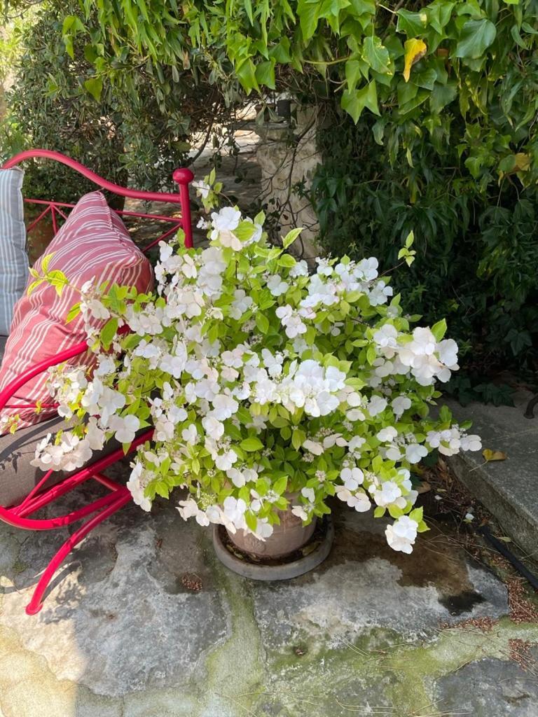 고르드 La Borie En Provence B&B 외부 사진