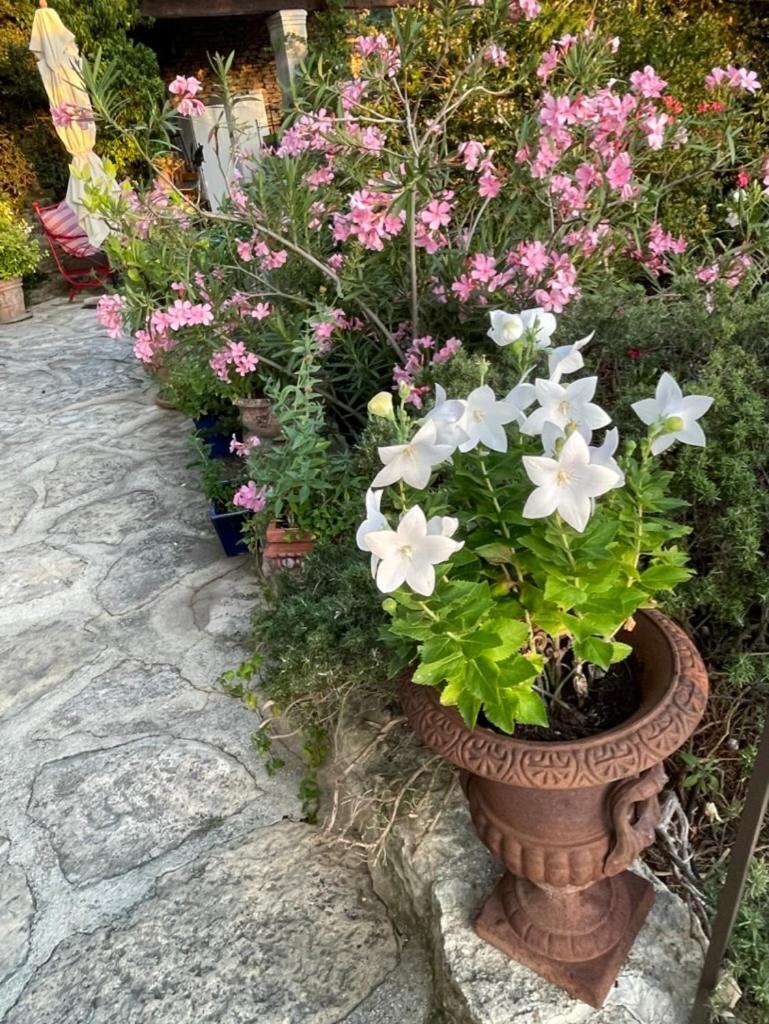 고르드 La Borie En Provence B&B 외부 사진