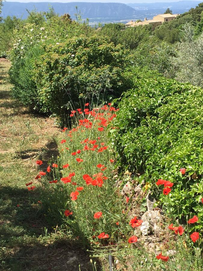 고르드 La Borie En Provence B&B 외부 사진